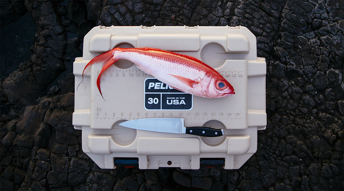 pelican consumer products fishing coolers elite cooler